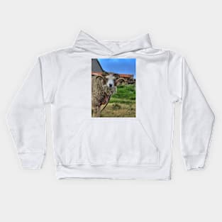 Shetland Ram Kids Hoodie